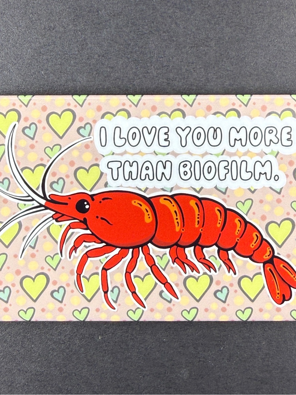 Cherry Shrimp Valentines Day Biofilm Magnet, Handmade Aquarium Lover Gift 2x3